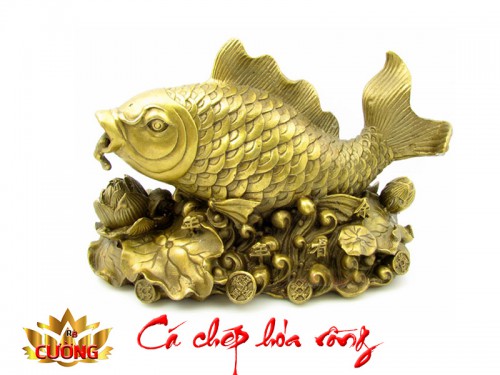 CÁ CHÉP HÓA RỒNG