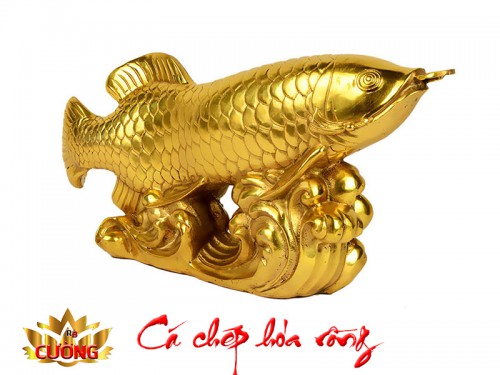 CÁ CHÉP HÓA RỒNG