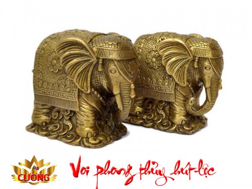 VOI PHONG THỦY HÚT TÀI LỘC