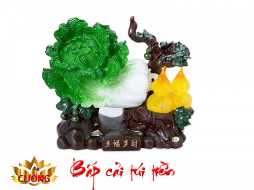 BẮP CẢI TÚI TIỀN